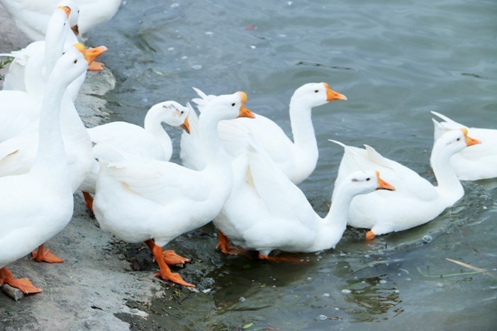 啦啦啦啦啦啦啦啦啦 啦啦啦啦啦啦啦啦啦