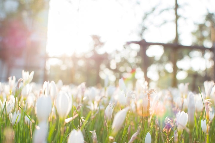 我们是祖国的未来 我们是祖国的未来