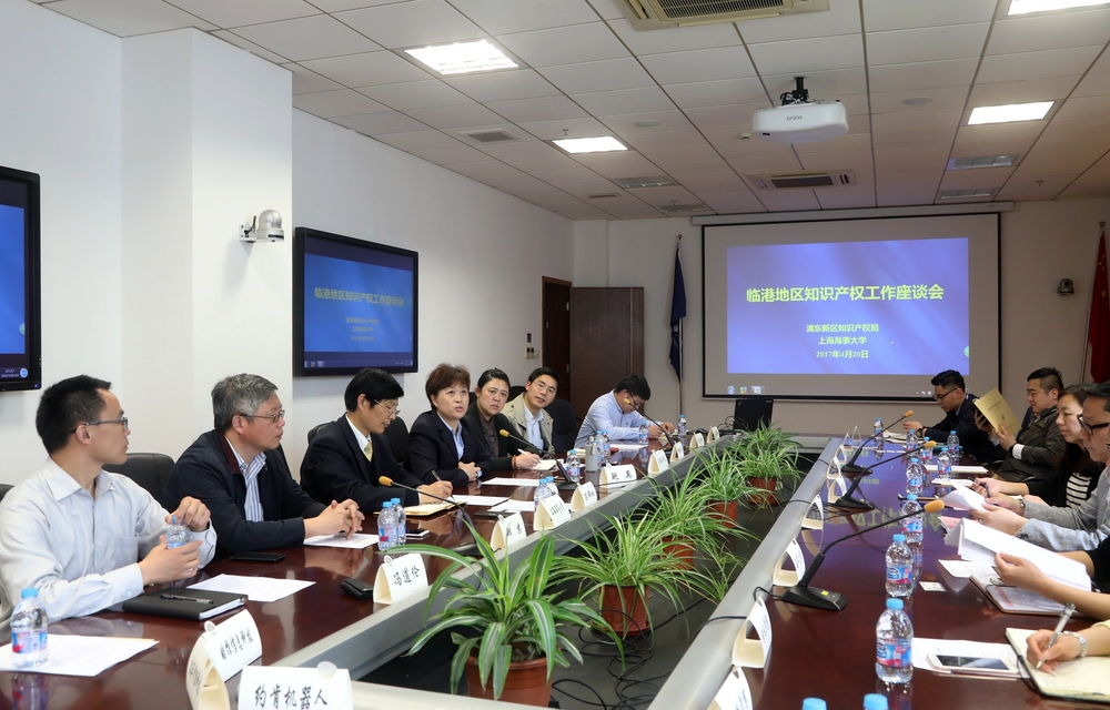 临港地区知识产权工作座谈会