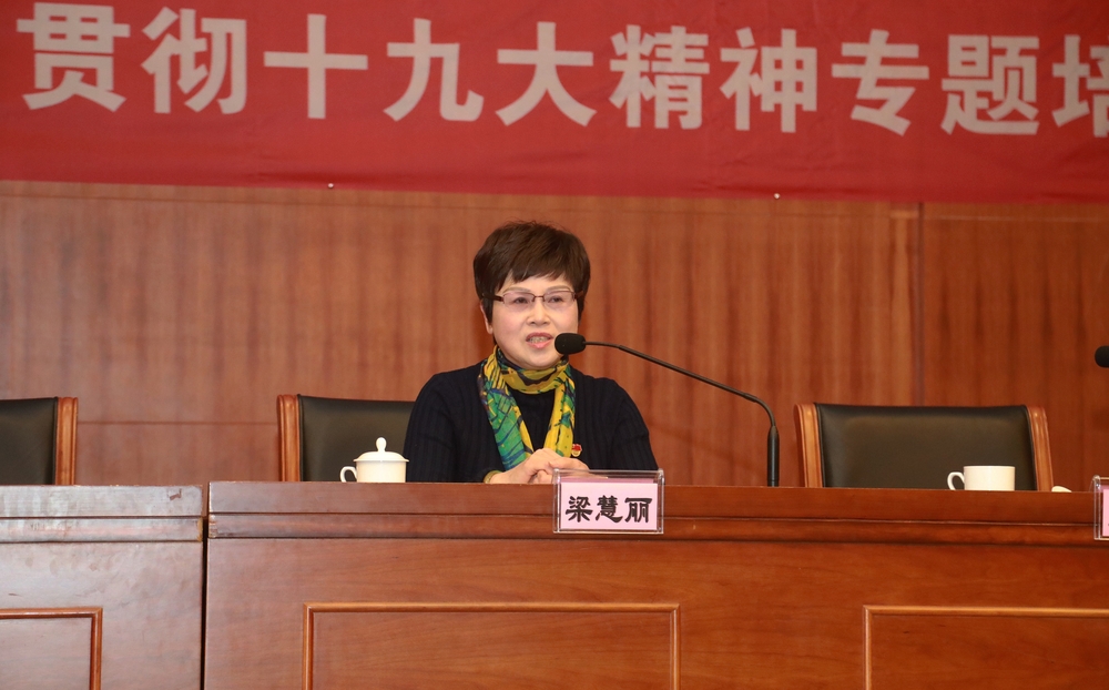 上海市党的十九大代表、普陀区桃浦镇社区党委副书记、莲花公寓居民区党总支书记梁慧丽作辅导报告