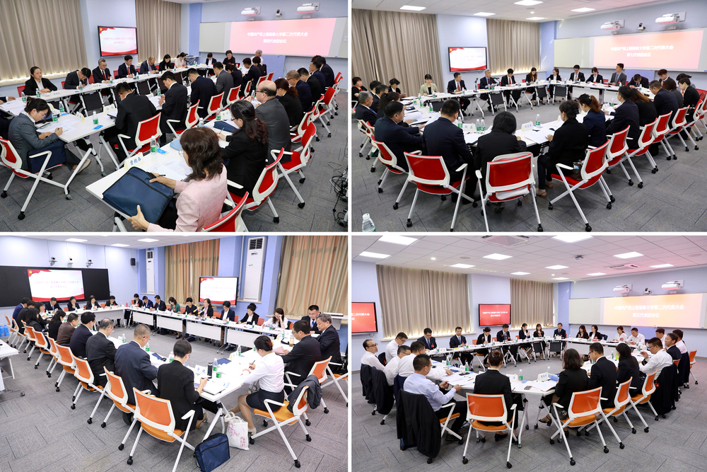 各代表团分组审议两委工作报告