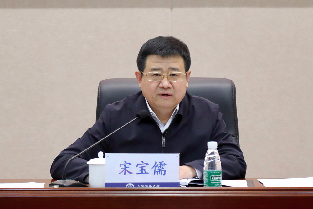 宋宝儒书记讲话