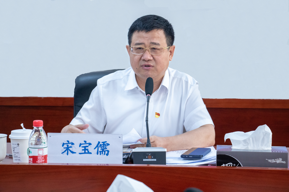 宋宝儒书记讲话